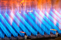 Bucklands gas fired boilers